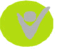 logo_virtuality
